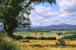 The landscape around Arnprior