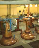 Glenfiddich stills